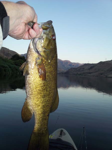 Oxbow Bass