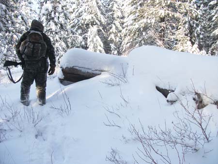 Snowy Elk Hunt Picture