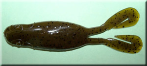 Green Pumpkin Frog