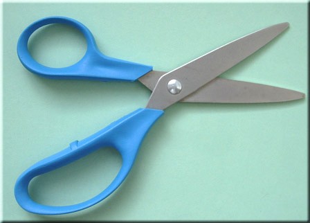 Fishing Scissors