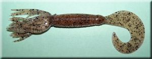 Smoke Pumpkinseed Spider Grub