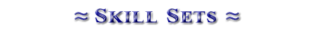 Steve Skills Header