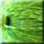 Chartreuse -Blue Scale(S265) Skirt