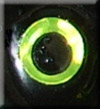 Chartreuse Holographic Eye