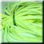 Chartreuse Glimmer(S41) Skirt
