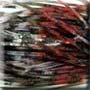 Cumberland Craw(S250) Skirt