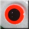 Fluorescent Red-Orange Eye