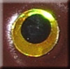 Gold Holographic Eye