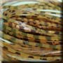 Pumpkinseed Barb (S199) Skirt
