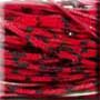 Red Barb (S276) Skirt