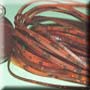 Rusty Craw (S119) Skirt