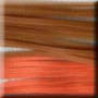 Tarantula Pumpkinseed-Orange (T23) Skirt